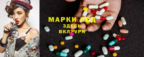 крисы Алексин