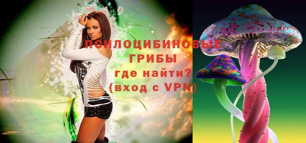 соль ск Сатка