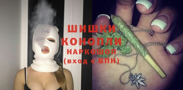 крисы Алексин